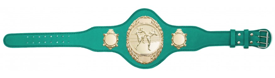 THAI BOXING TITLE BELT - PLT286/G/TBOG-4 COLOURS